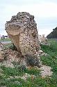 Carthage - Oued Milliane 100_6344